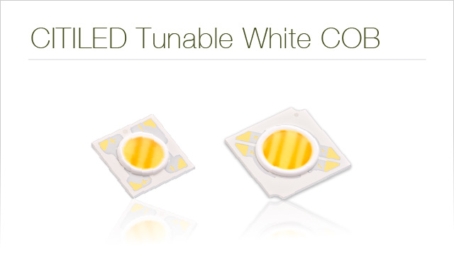 CITILED Tunable White COB