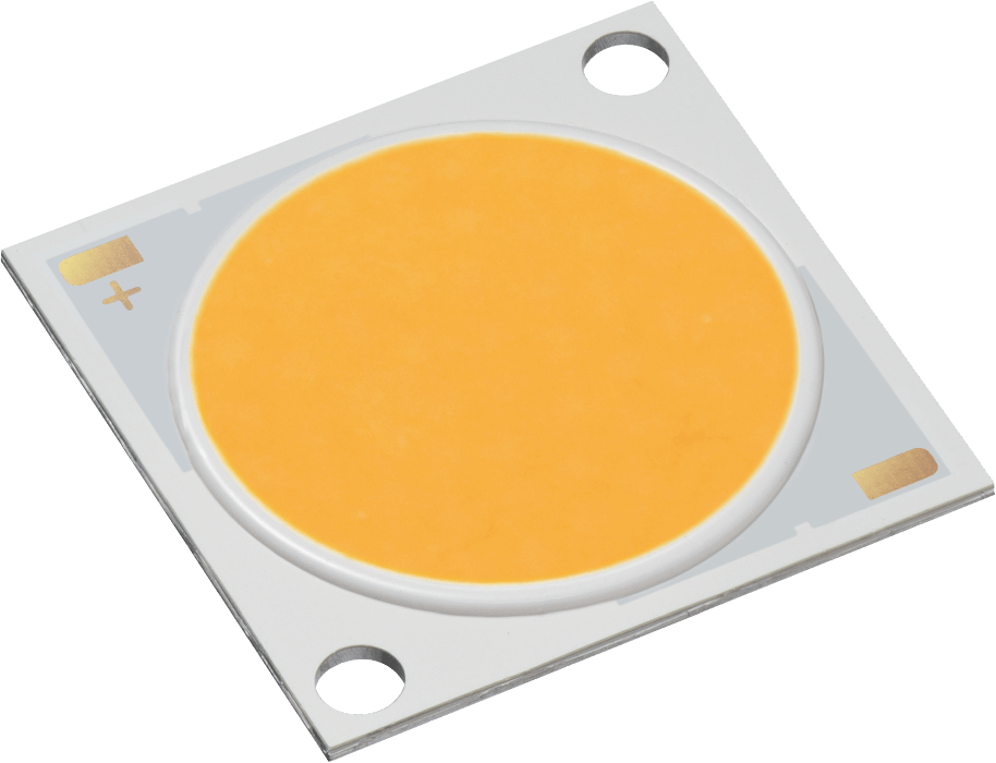 LED導入事例 LED WORLD｜シチズン電子