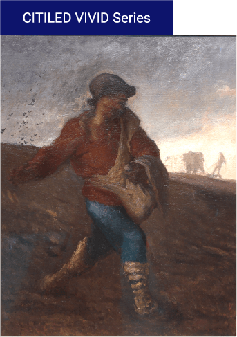 従来のLEDとCITILED VIVIDシリーズの”展示”の比較