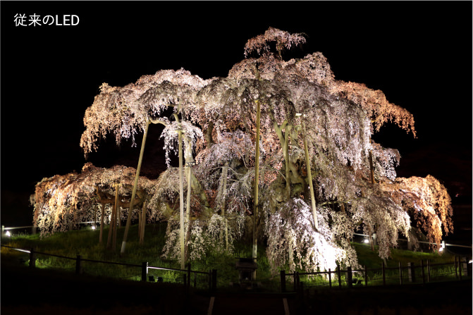従来のLEDとCITILED VIVIDシリーズの”景観”の比較