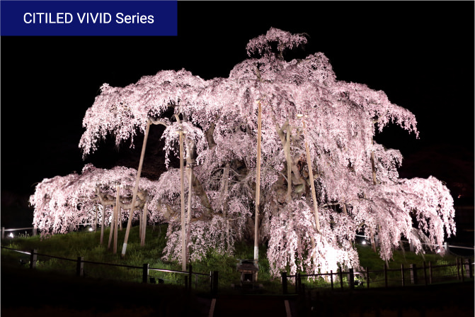 従来のLEDとCITILED VIVIDシリーズの”景観”の比較